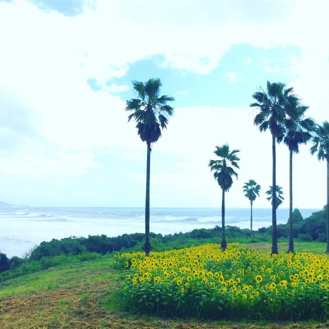 Guesthouse ＆ Beach Cafe Fuego Hyuga Ngoại thất bức ảnh